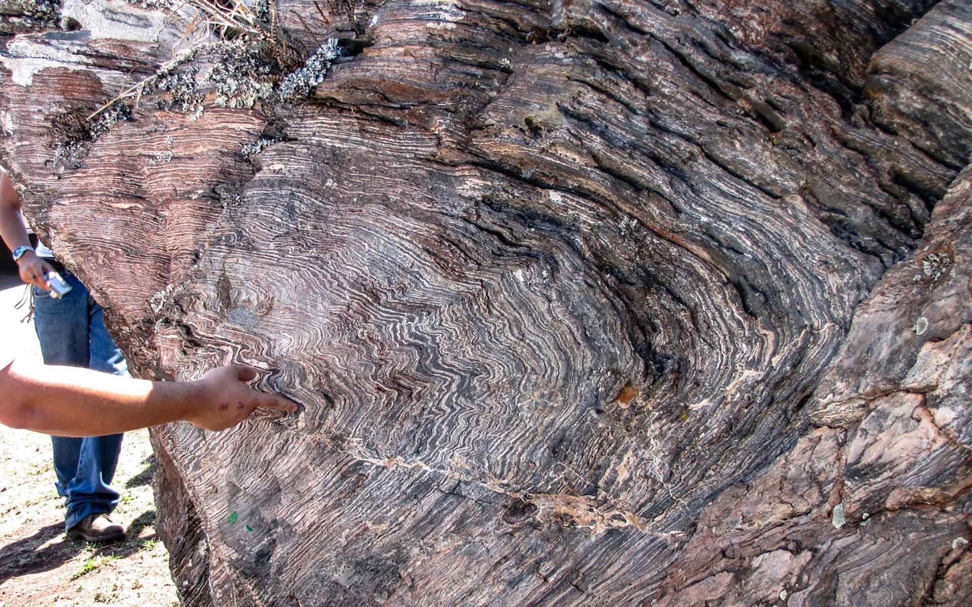 Outcrop of folded metamorphic