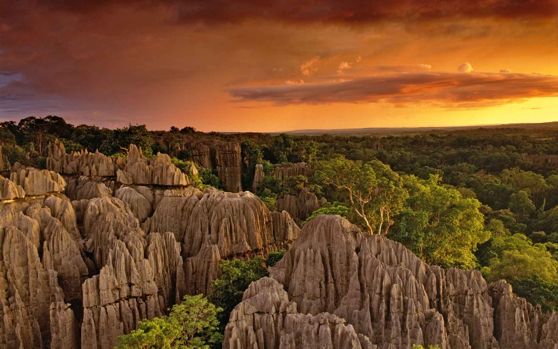 The spectacular limestone landscape of Bemahara