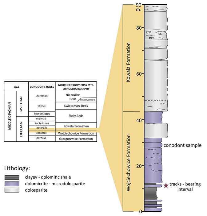 Middle Devonian lithostratigraphy