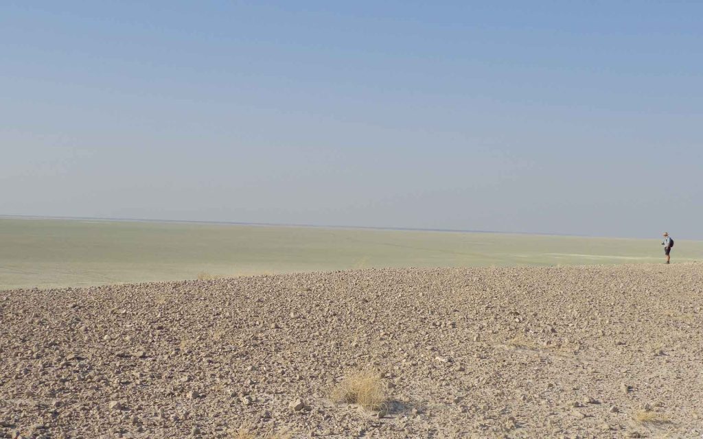 Panorama of the Etosha Pan.