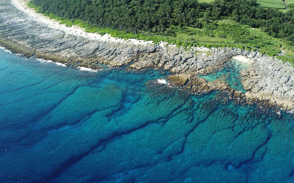 Uplifted coral reefs along the coastline of Kikaijima Island (photo by Kaito Fukuda).