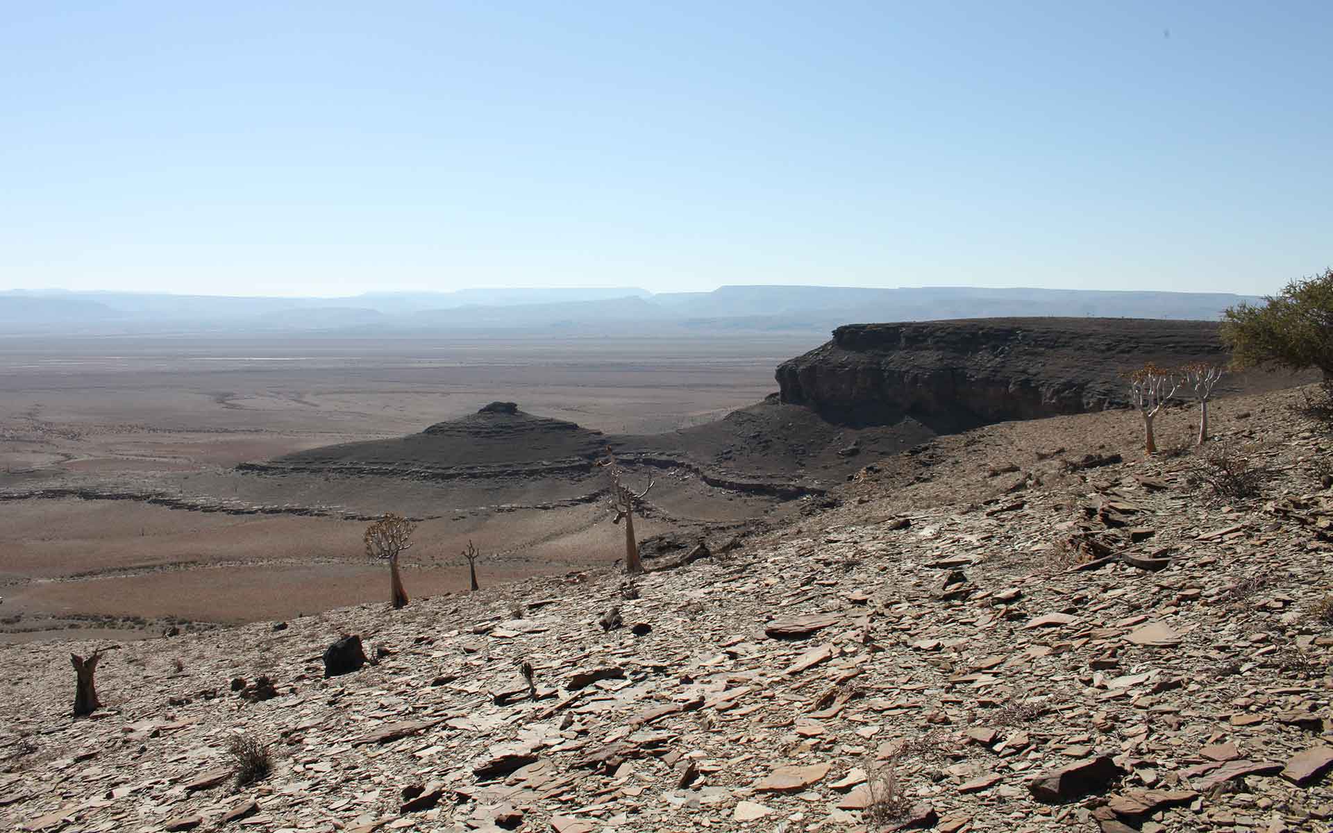 View from Swartpunt mountain.