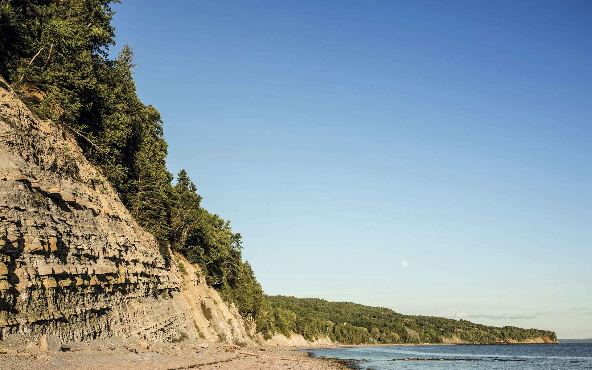 Late Devonian strata at Miguasha National Park. These rocks contain beautifully preserved fossil fish and other animals and plants. (Photo: Mathieu Dupuis, Miguasha National Park).