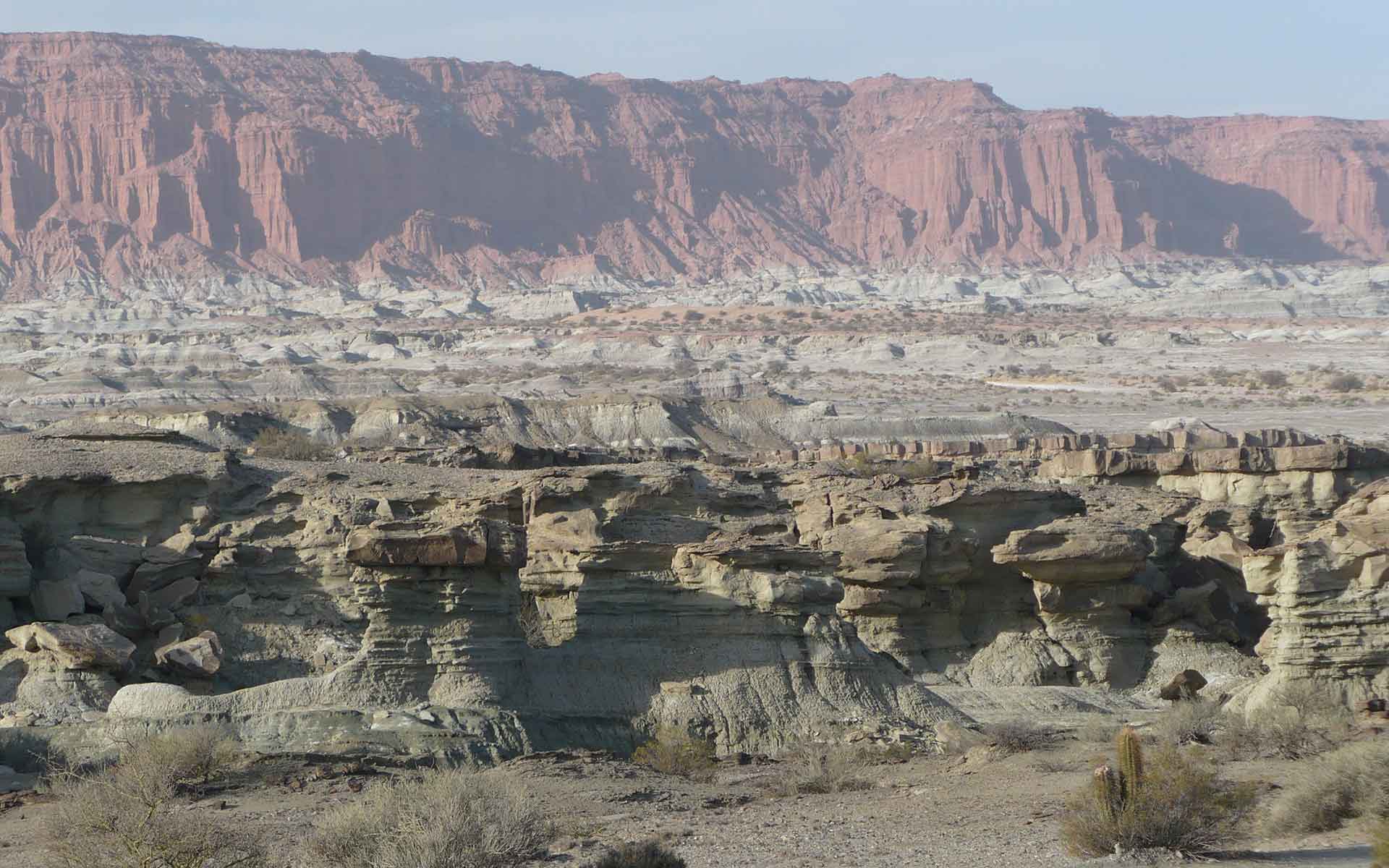 Appearance presented by the Ischigualasto Formation, gray in color. In the background, outcrops of the Los Colorados Formation constituting the so-called Barrancas Coloradas.