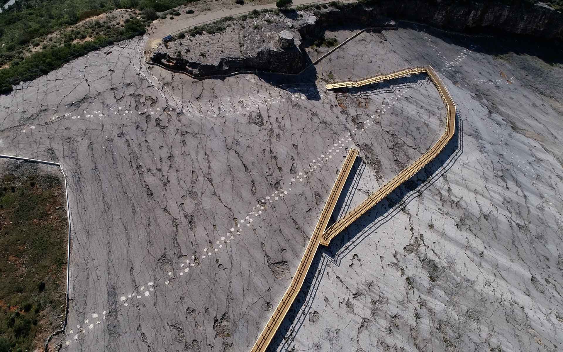 Panoramic view of the Galinha quarry with the main sauropod trackways.