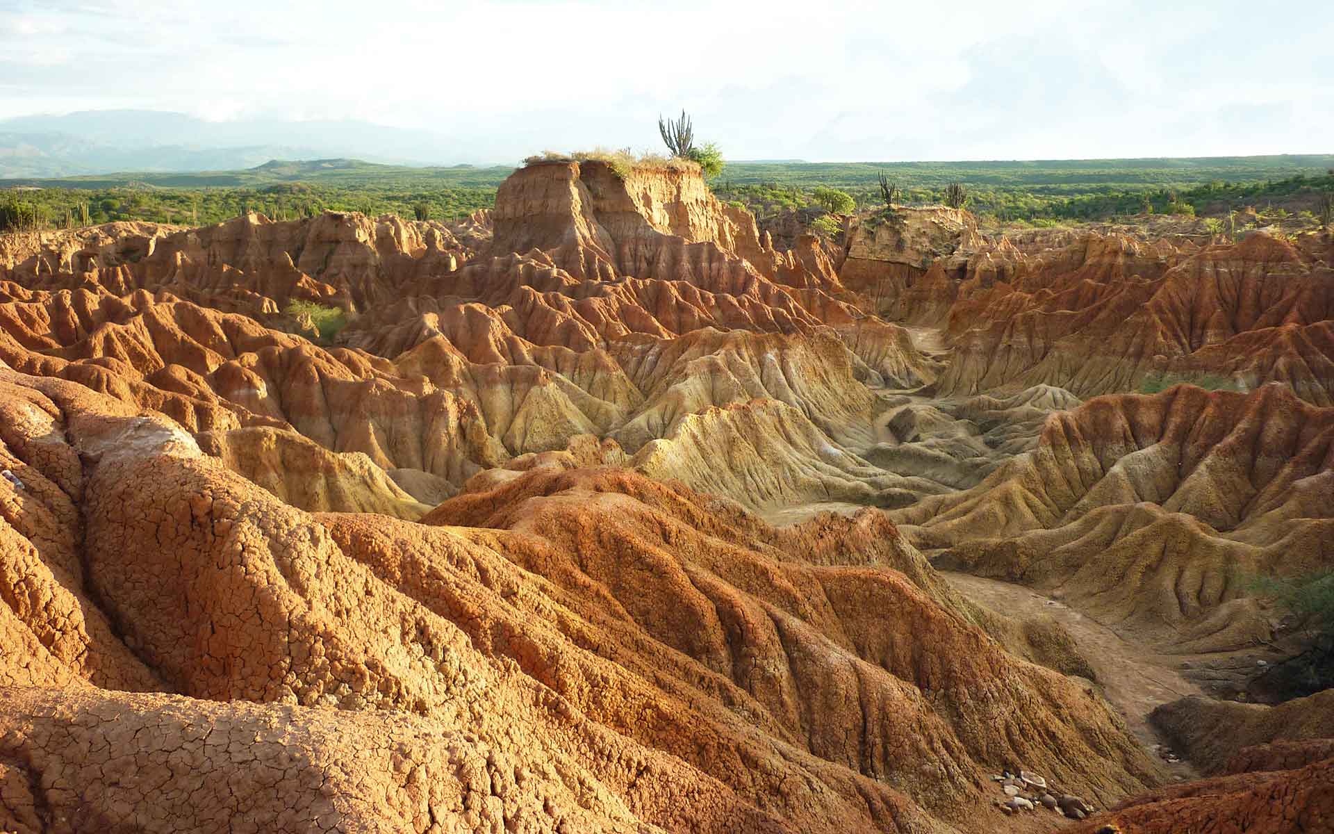 The ‘La Tatacoa Desert’: the iconic badland landscape of the La Venta Konzentrat-Lagerstätte. Some levels of this variegated middle Miocene rock succession are remarkably fossiliferous.