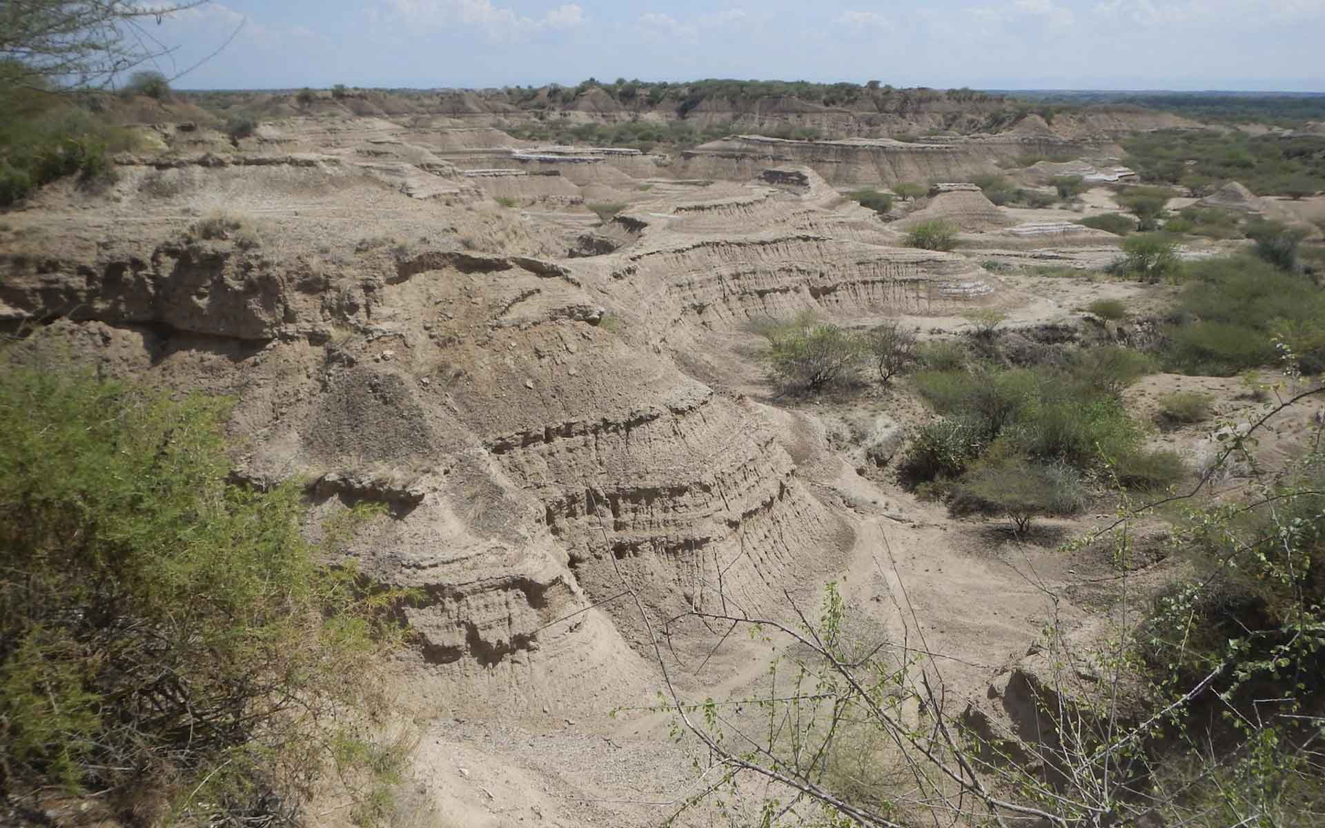 A view of the Kibish Formation exposures at the southern banks of the Omo River (Photograph credit, Celine Vidal).