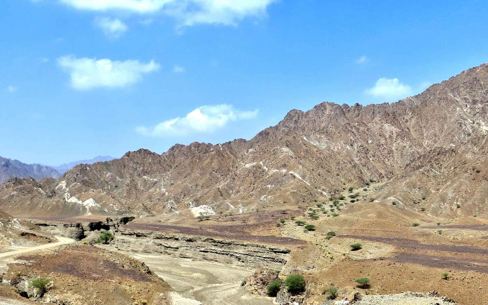 Mantle section of the Samail Ophiolite with white granitic dikes (Wadi Fizh). Brown to purple Quaternary wadi sediments in the foreground. View to the NNW.