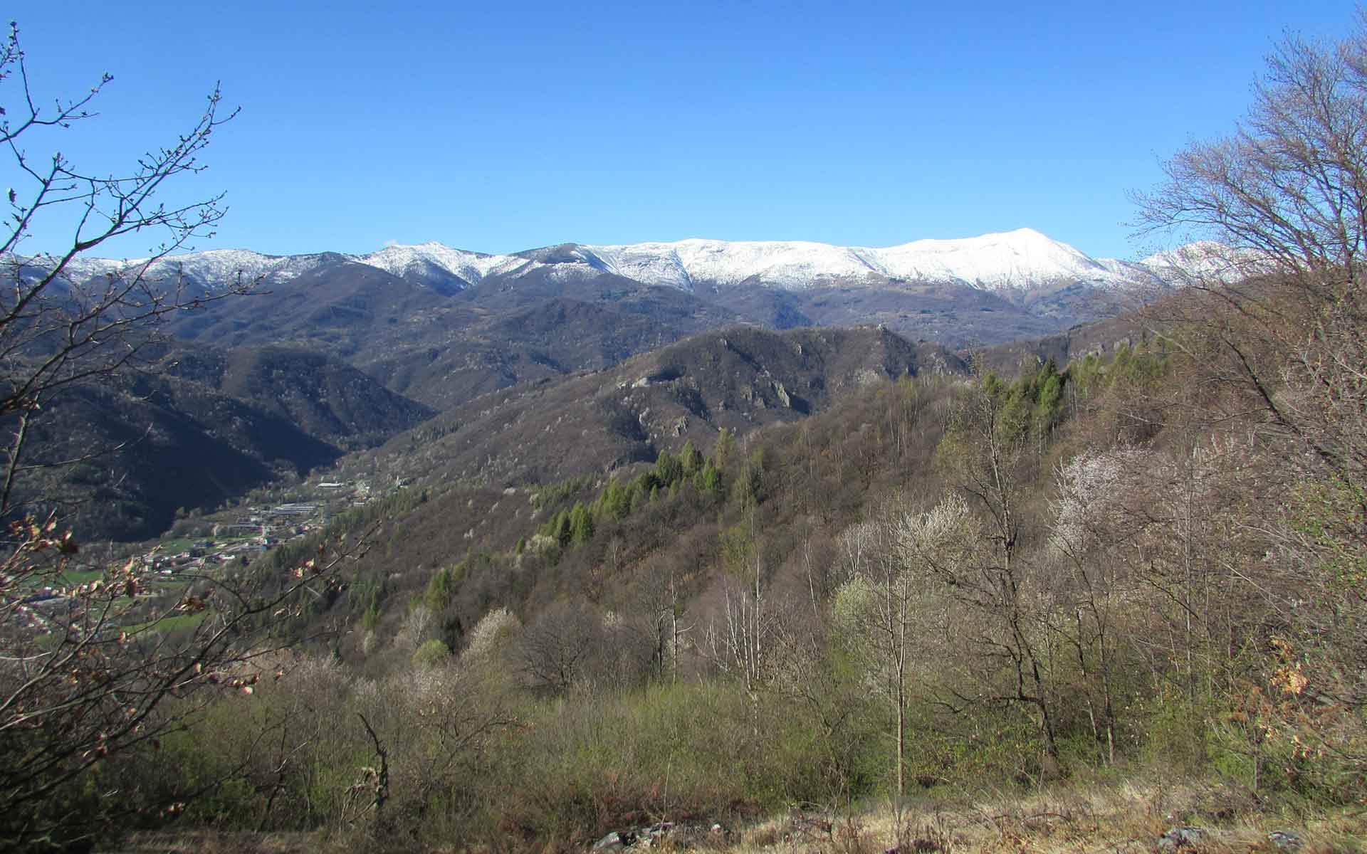 The ultrahigh-pressure metamorphic Brossasco-Isasca Unit (middle and foreground) overlain by lower-grade units of the southern Dora-Maira Massif (background). View towards SW and Brossasco, Varaita valley.