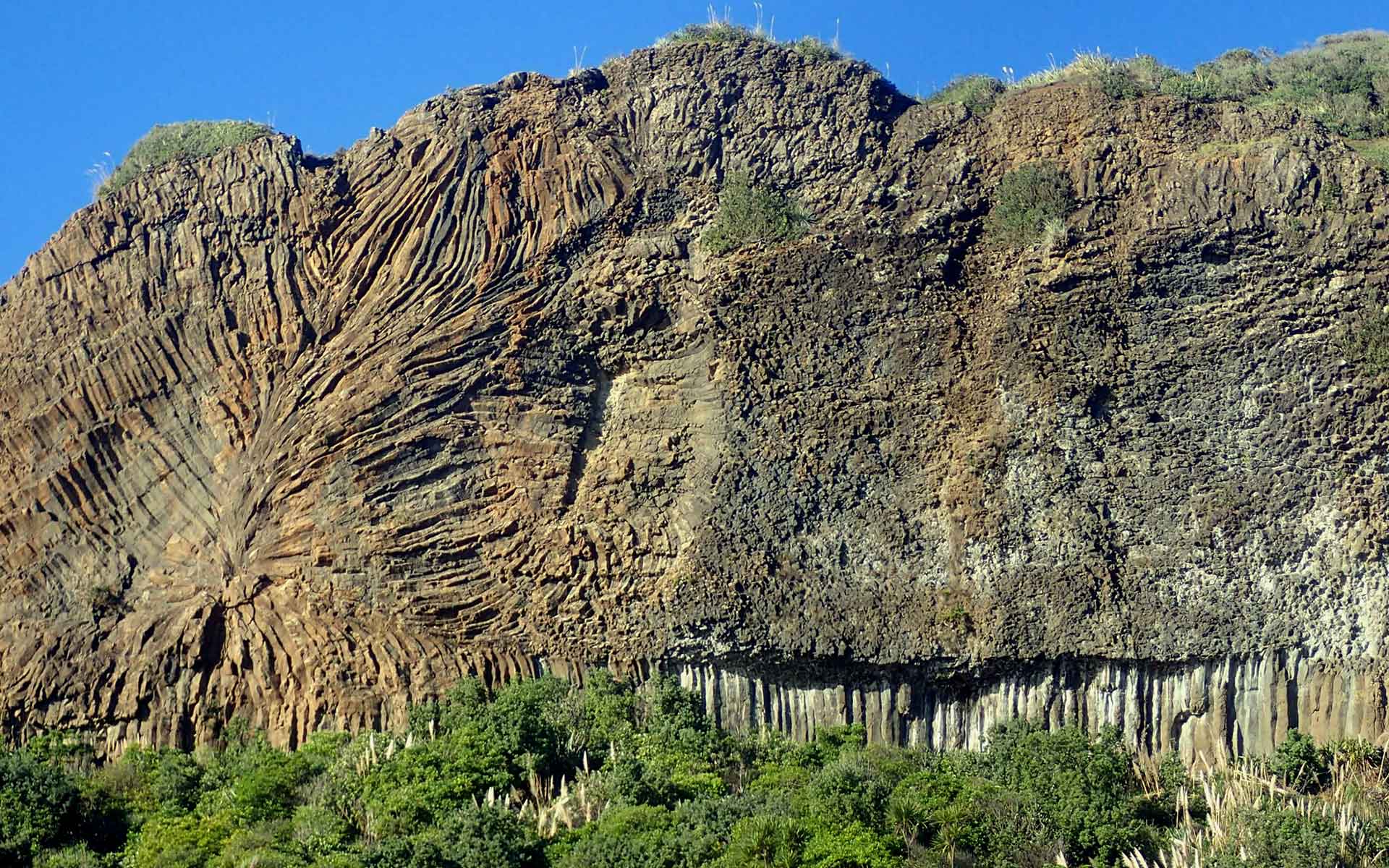 Part of the larger megapillow lava flow at Muriwai showing huge fans and rosettes of cooling columns formed as several internal feeder tubes solidified.