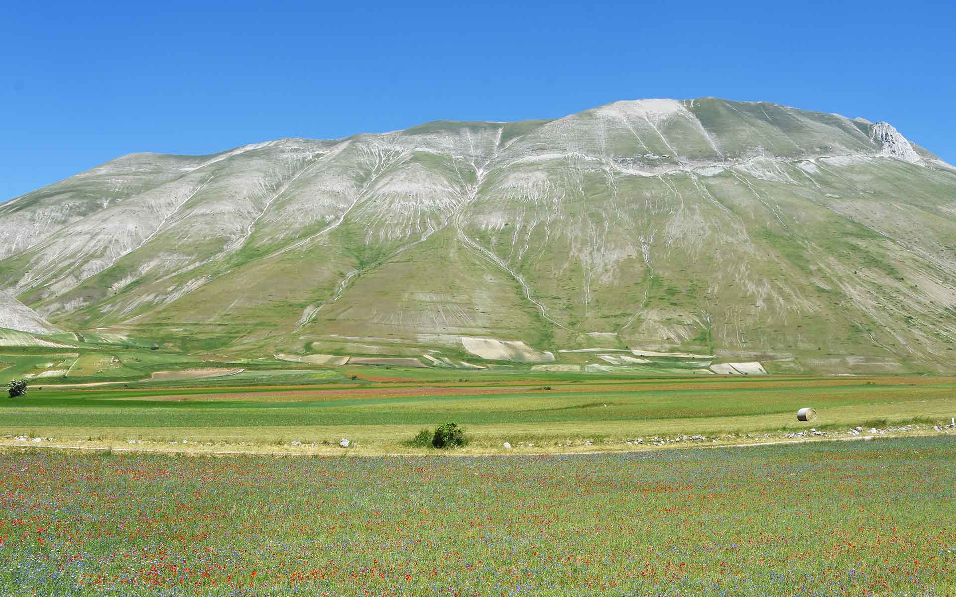 Mt Vettore, coseismic surface faulting associated with the earthquakes of 24th August and 30th October 2016, crossing the mountain from north to south.