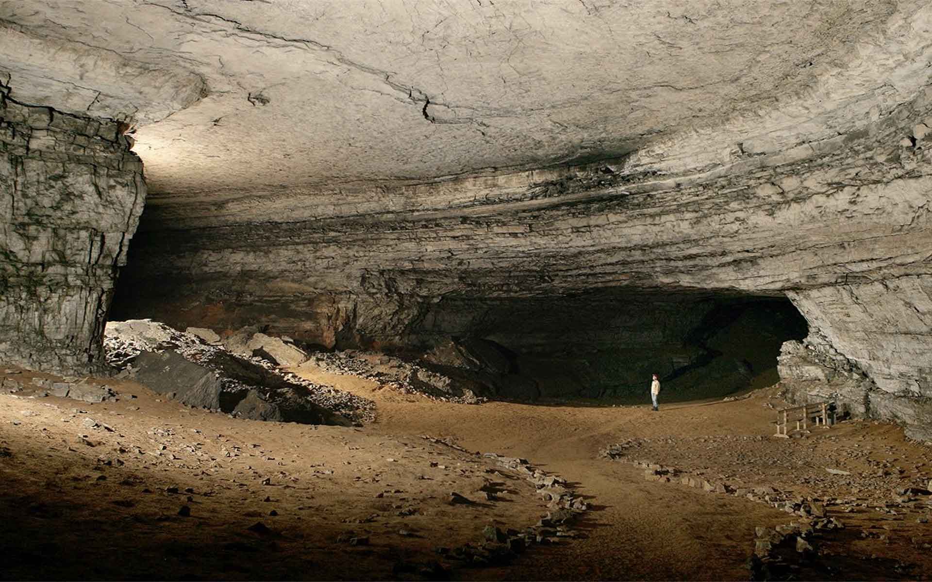 The Mammoth Cave System contains the most extensive known system of cave passages in the world (Art Palmer).