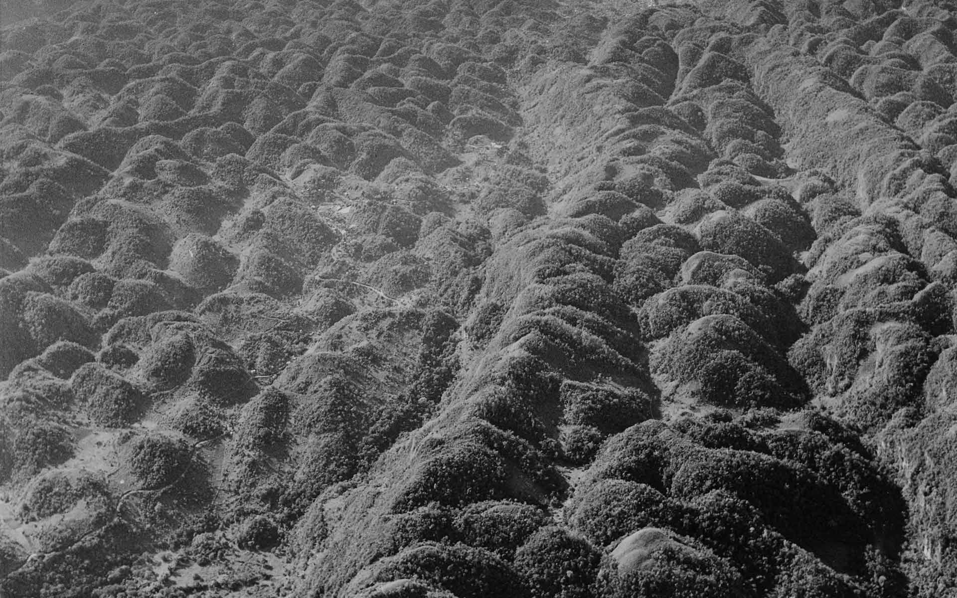 Fault and joint controlled linear alignments among cockpits, near to the Alps, along the north eastern boundary of the Cockpit Country (photograph: Mr. Jack Tyndale-Briscoe).